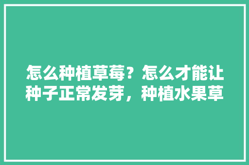 怎么种植草莓？怎么才能让种子正常发芽，种植水果草莓过程视频播放。 怎么种植草莓？怎么才能让种子正常发芽，种植水果草莓过程视频播放。 蔬菜种植