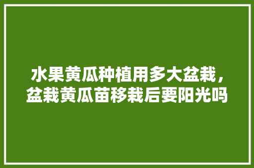 水果黄瓜种植用多大盆栽，盆栽黄瓜苗移栽后要阳光吗。 水果黄瓜种植用多大盆栽，盆栽黄瓜苗移栽后要阳光吗。 水果种植