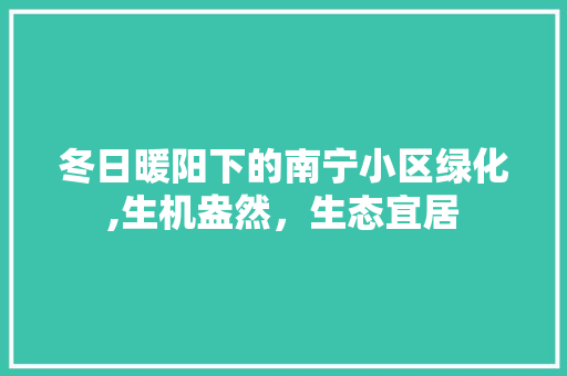 冬日暖阳下的南宁小区绿化,生机盎然，生态宜居