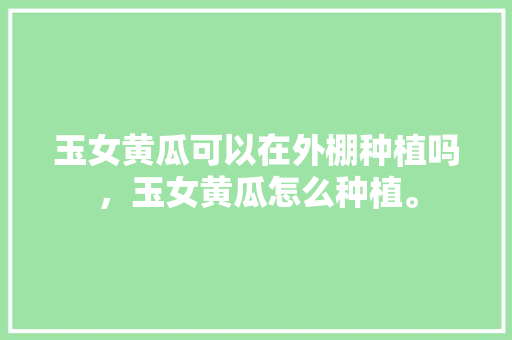 玉女黄瓜可以在外棚种植吗，玉女黄瓜怎么种植。 玉女黄瓜可以在外棚种植吗，玉女黄瓜怎么种植。 蔬菜种植