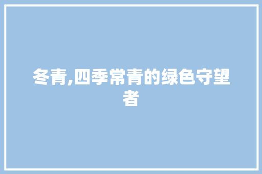 冬青,四季常青的绿色守望者