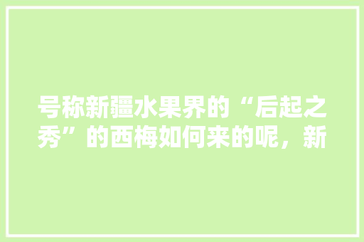 号称新疆水果界的“后起之秀”的西梅如何来的呢，新疆水果种植教程视频大全。 号称新疆水果界的“后起之秀”的西梅如何来的呢，新疆水果种植教程视频大全。 水果种植