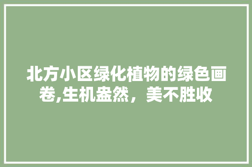 北方小区绿化植物的绿色画卷,生机盎然，美不胜收