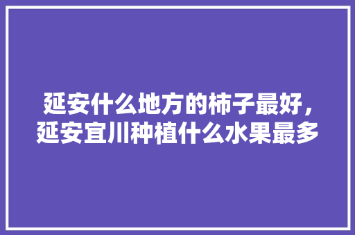 延安什么地方的柿子最好，延安宜川种植什么水果最多。 延安什么地方的柿子最好，延安宜川种植什么水果最多。 水果种植