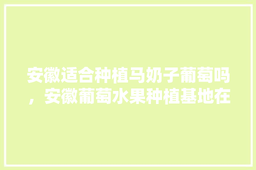 安徽适合种植马奶子葡萄吗，安徽葡萄水果种植基地在哪里。 安徽适合种植马奶子葡萄吗，安徽葡萄水果种植基地在哪里。 家禽养殖