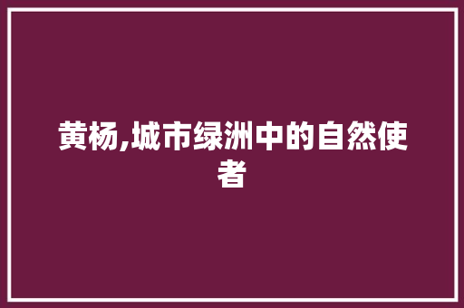 黄杨,城市绿洲中的自然使者