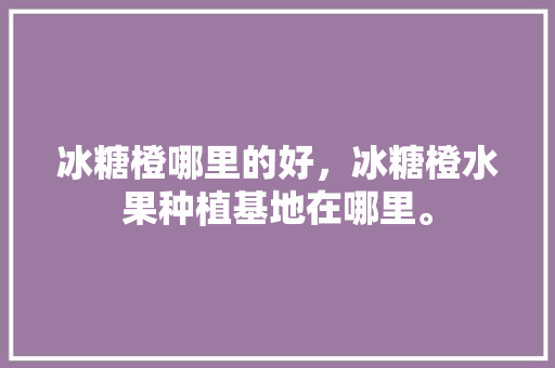 冰糖橙哪里的好，冰糖橙水果种植基地在哪里。 冰糖橙哪里的好，冰糖橙水果种植基地在哪里。 蔬菜种植