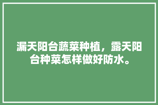 漏天阳台蔬菜种植，露天阳台种菜怎样做好防水。 漏天阳台蔬菜种植，露天阳台种菜怎样做好防水。 畜牧养殖