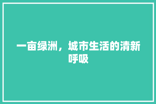 一亩绿洲，城市生活的清新呼吸