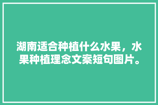 湖南适合种植什么水果，水果种植理念文案短句图片。 湖南适合种植什么水果，水果种植理念文案短句图片。 畜牧养殖