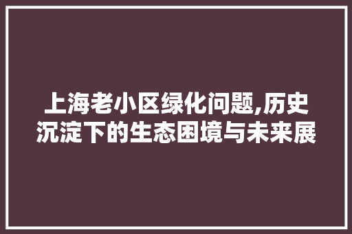 上海老小区绿化问题,历史沉淀下的生态困境与未来展望