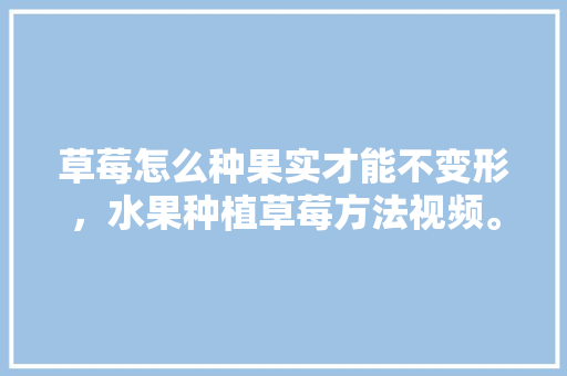 草莓怎么种果实才能不变形，水果种植草莓方法视频。 草莓怎么种果实才能不变形，水果种植草莓方法视频。 土壤施肥