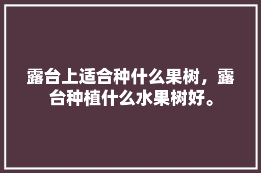 露台上适合种什么果树，露台种植什么水果树好。 露台上适合种什么果树，露台种植什么水果树好。 水果种植