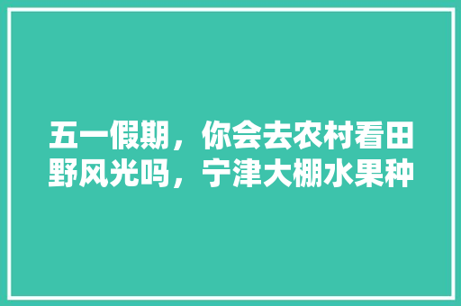 五一假期，你会去农村看田野风光吗，宁津大棚水果种植基地。 五一假期，你会去农村看田野风光吗，宁津大棚水果种植基地。 水果种植