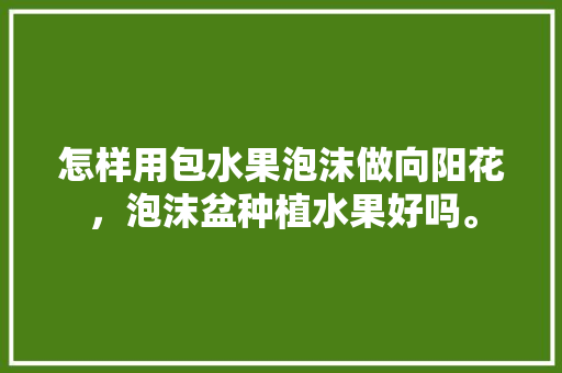 怎样用包水果泡沫做向阳花，泡沫盆种植水果好吗。 怎样用包水果泡沫做向阳花，泡沫盆种植水果好吗。 水果种植