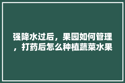 强降水过后，果园如何管理，打药后怎么种植蔬菜水果呢。 强降水过后，果园如何管理，打药后怎么种植蔬菜水果呢。 土壤施肥