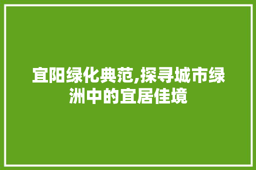 宜阳绿化典范,探寻城市绿洲中的宜居佳境