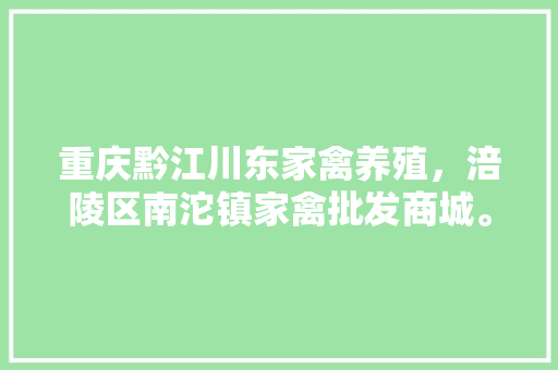 重庆黔江川东家禽养殖，涪陵区南沱镇家禽批发商城。 重庆黔江川东家禽养殖，涪陵区南沱镇家禽批发商城。 家禽养殖