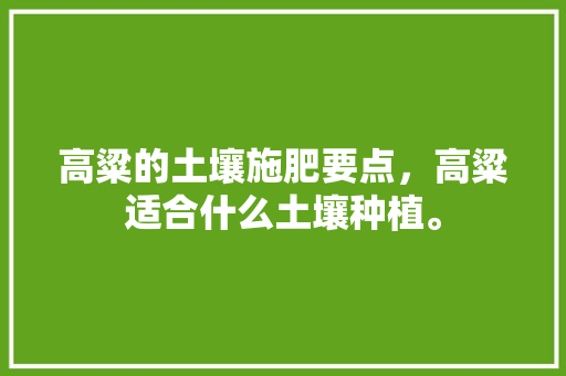 高粱的土壤施肥要点，高粱适合什么土壤种植。 高粱的土壤施肥要点，高粱适合什么土壤种植。 土壤施肥