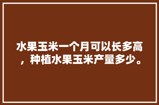 水果玉米一个月可以长多高，种植水果玉米产量多少。 水果玉米一个月可以长多高，种植水果玉米产量多少。 土壤施肥