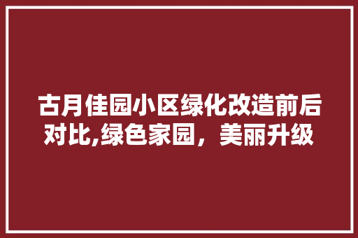 古月佳园小区绿化改造前后对比,绿色家园，美丽升级