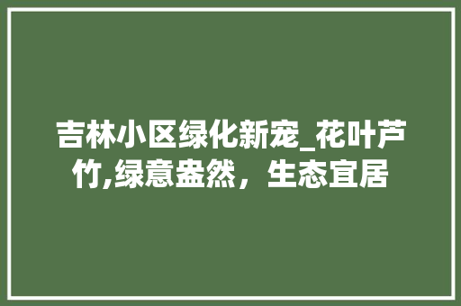 吉林小区绿化新宠_花叶芦竹,绿意盎然，生态宜居