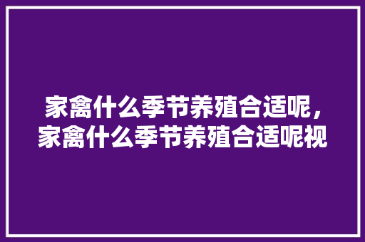 家禽什么季节养殖合适呢，家禽什么季节养殖合适呢视频。 家禽什么季节养殖合适呢，家禽什么季节养殖合适呢视频。 家禽养殖