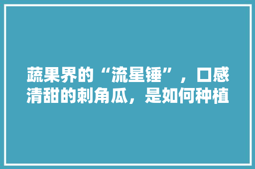 蔬果界的“流星锤”，口感清甜的刺角瓜，是如何种植的呢，种植花样水果图片大全。 蔬果界的“流星锤”，口感清甜的刺角瓜，是如何种植的呢，种植花样水果图片大全。 水果种植