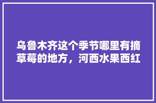 乌鲁木齐这个季节哪里有摘草莓的地方，河西水果西红柿种植基地在哪里。 乌鲁木齐这个季节哪里有摘草莓的地方，河西水果西红柿种植基地在哪里。 家禽养殖