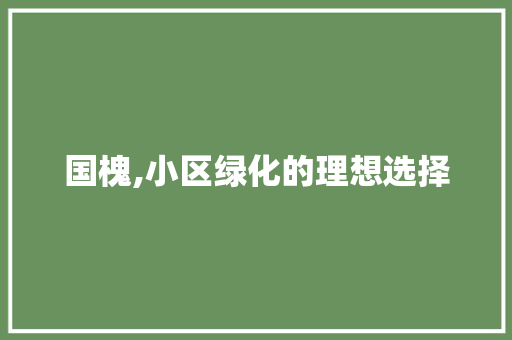 国槐,小区绿化的理想选择