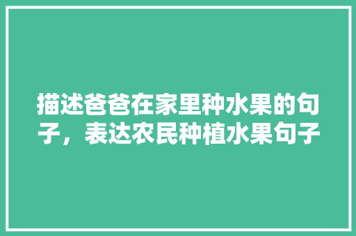 描述爸爸在家里种水果的句子，表达农民种植水果句子有哪些。 描述爸爸在家里种水果的句子，表达农民种植水果句子有哪些。 水果种植