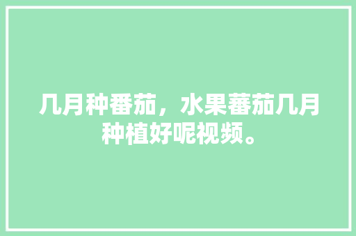 几月种番茄，水果蕃茄几月种植好呢视频。 几月种番茄，水果蕃茄几月种植好呢视频。 家禽养殖