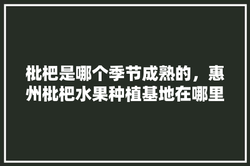 枇杷是哪个季节成熟的，惠州枇杷水果种植基地在哪里。 枇杷是哪个季节成熟的，惠州枇杷水果种植基地在哪里。 蔬菜种植