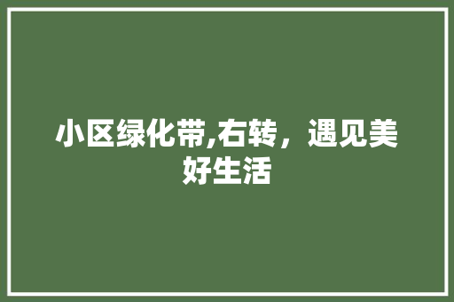 小区绿化带,右转，遇见美好生活