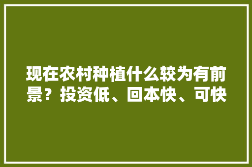 现在农村种植什么较为有前景？投资低、回本快、可快速交易的品种有哪些，有前途水果种植吗。 现在农村种植什么较为有前景？投资低、回本快、可快速交易的品种有哪些，有前途水果种植吗。 家禽养殖