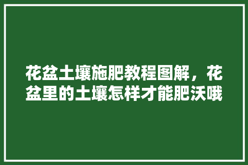 花盆土壤施肥教程图解，花盆里的土壤怎样才能肥沃哦?。 花盆土壤施肥教程图解，花盆里的土壤怎样才能肥沃哦?。 土壤施肥