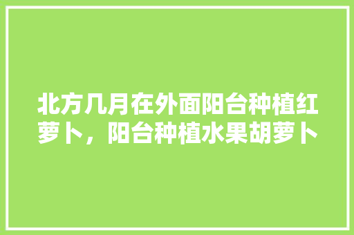 北方几月在外面阳台种植红萝卜，阳台种植水果胡萝卜好吗。 北方几月在外面阳台种植红萝卜，阳台种植水果胡萝卜好吗。 蔬菜种植