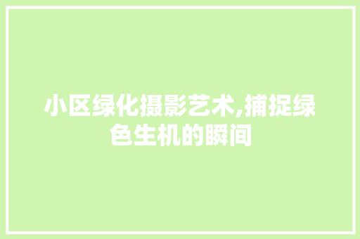 小区绿化摄影艺术,捕捉绿色生机的瞬间 蔬菜种植