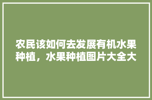 农民该如何去发展有机水果种植，水果种植图片大全大图。 农民该如何去发展有机水果种植，水果种植图片大全大图。 蔬菜种植