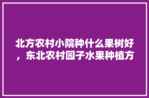 北方农村小院种什么果树好，东北农村园子水果种植方法。 北方农村小院种什么果树好，东北农村园子水果种植方法。 土壤施肥