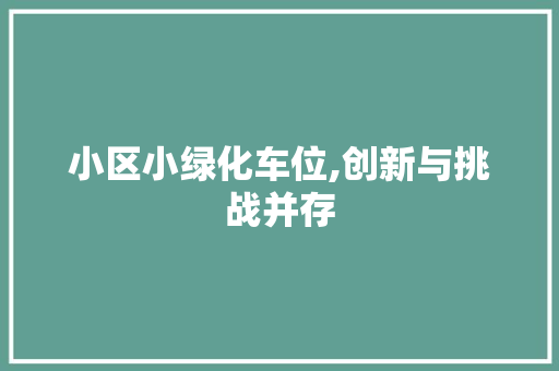 小区小绿化车位,创新与挑战并存