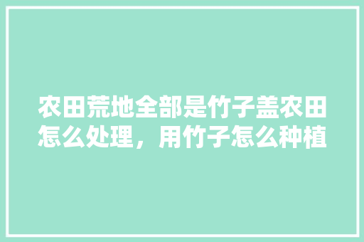 农田荒地全部是竹子盖农田怎么处理，用竹子怎么种植水果苗。 农田荒地全部是竹子盖农田怎么处理，用竹子怎么种植水果苗。 畜牧养殖