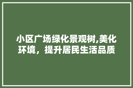 小区广场绿化景观树,美化环境，提升居民生活品质