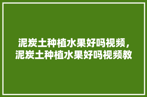 泥炭土种植水果好吗视频，泥炭土种植水果好吗视频教学。 泥炭土种植水果好吗视频，泥炭土种植水果好吗视频教学。 水果种植