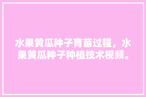 水果黄瓜种子育苗过程，水果黄瓜种子种植技术视频。 水果黄瓜种子育苗过程，水果黄瓜种子种植技术视频。 土壤施肥