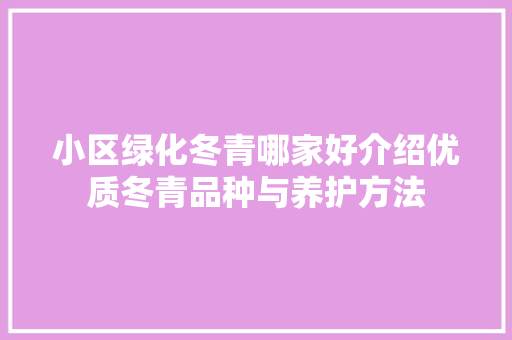 小区绿化冬青哪家好介绍优质冬青品种与养护方法