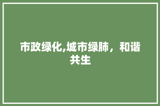 市政绿化,城市绿肺，和谐共生