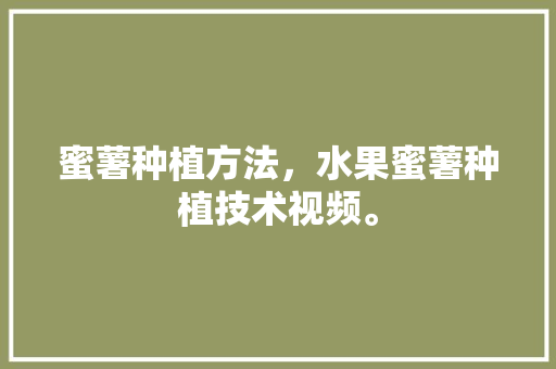 蜜薯种植方法，水果蜜薯种植技术视频。 蜜薯种植方法，水果蜜薯种植技术视频。 土壤施肥