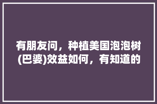 有朋友问，种植美国泡泡树(巴婆)效益如何，有知道的朋友望给予解答，谢谢，国外种植水果赚钱吗知乎。 有朋友问，种植美国泡泡树(巴婆)效益如何，有知道的朋友望给予解答，谢谢，国外种植水果赚钱吗知乎。 家禽养殖