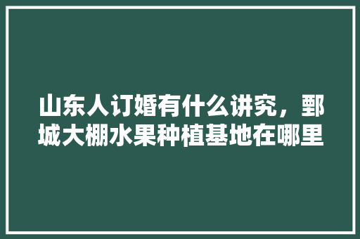 山东人订婚有什么讲究，鄄城大棚水果种植基地在哪里。 山东人订婚有什么讲究，鄄城大棚水果种植基地在哪里。 水果种植